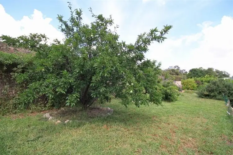 Fifth view of Homely house listing, 5 Khancoban Place, Younghusband SA 5238