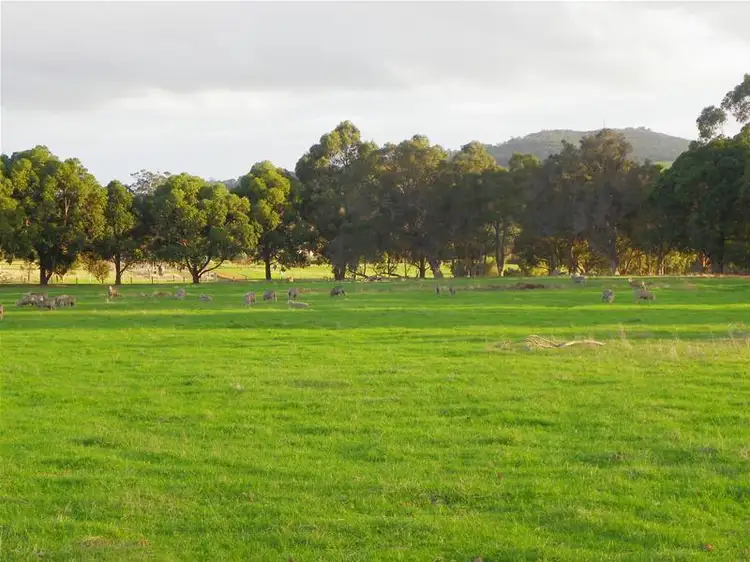 Main view of Homely land listing, 296 Silver Star Court, Albany WA 6330