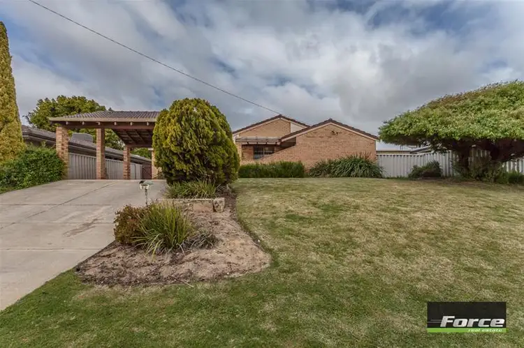 Main view of Homely house listing, 62 Tasman Road, Beldon WA 6027