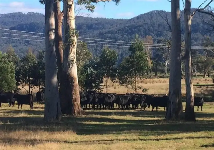 Second view of Homely rural property listing, 1226 Liffey Road, Liffey TAS 7301