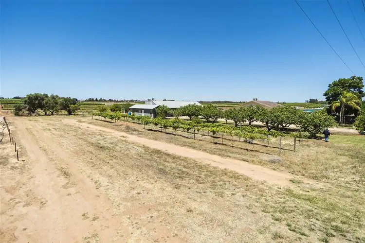 Third view of Homely house listing, 1226 Karadoc Avenue, Irymple VIC 3498