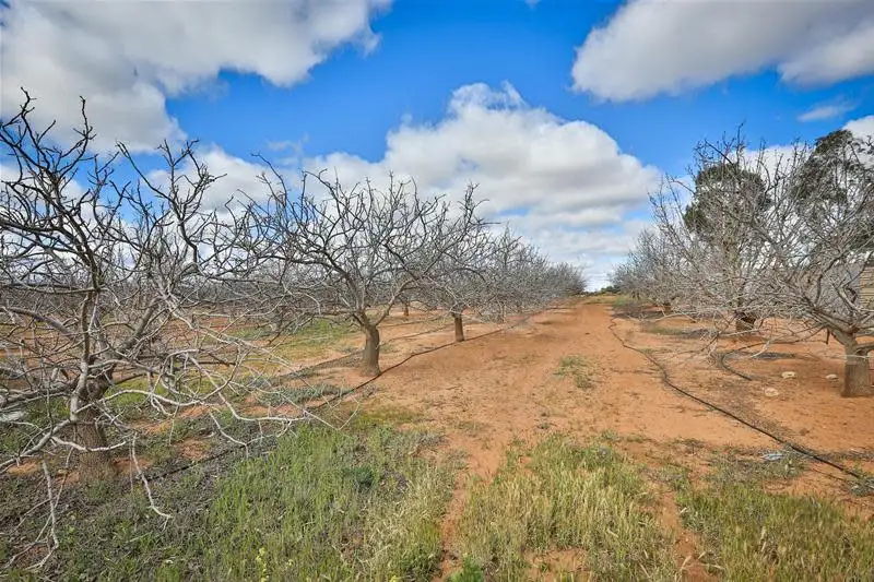 Main view of Homely land listing, Lot 4/ Barnetts Road, Red Cliffs VIC 3496