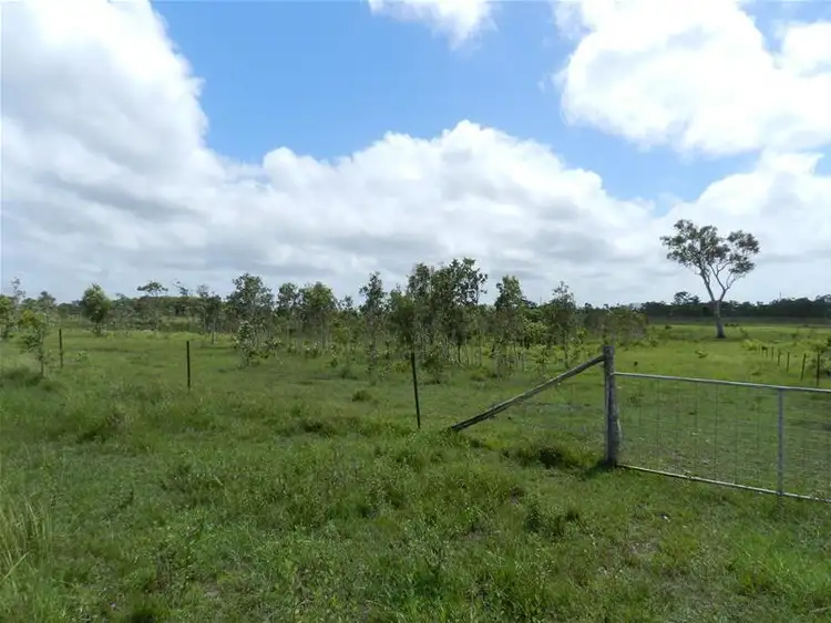 Fifth view of Homely rural property listing, 205 Ilbilbie Road, Ilbilbie QLD 4738