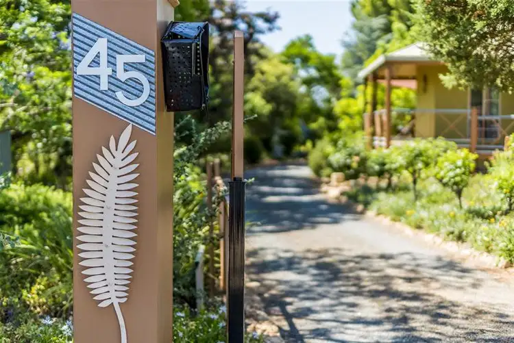 45 Fern Avenue, Irymple VIC 3498