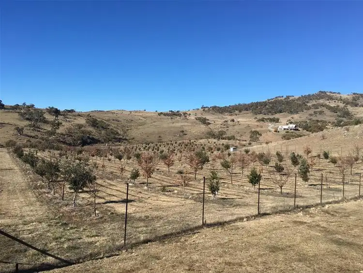 Third view of Homely rural property listing, 290 Alpine Way, Jindabyne NSW 2627