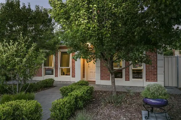 1/13 Conigrave Street, Oaklands Park SA 5046