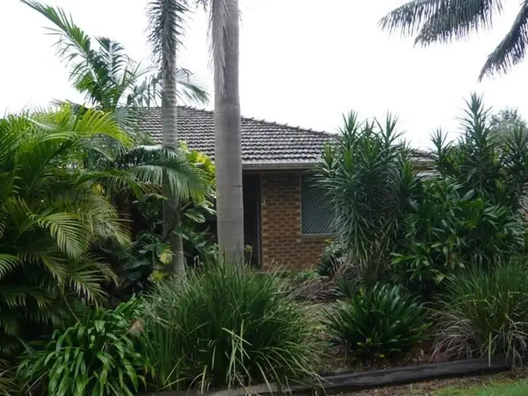 Second view of Homely unit listing, 4/125 Rous Road, Goonellabah NSW 2480