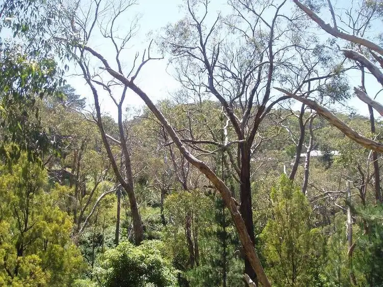 Main view of Homely land listing, 99 Upper Sturt Road, Upper Sturt SA 5156