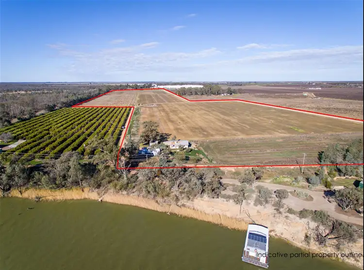 Third view of Homely rural property listing, 62 Cootamundra Avenue, Red Cliffs VIC 3496