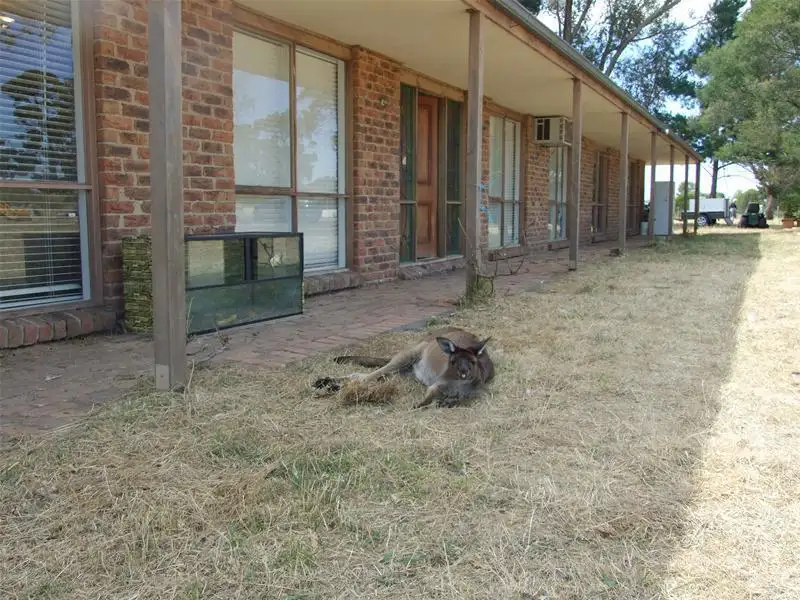 Main view of Homely rural property listing, 278 Coolart Road, Somerville VIC 3912