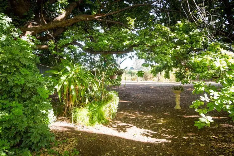 Fifth view of Homely land listing, 40 Swan Street, Irymple VIC 3498