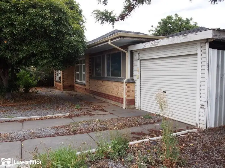 5 Jean Street, Oaklands Park SA 5046