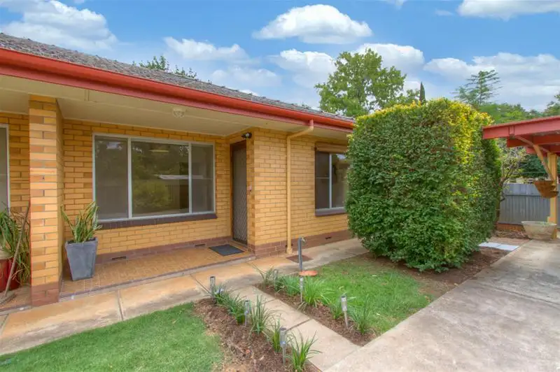 Main view of Homely unit listing, 5/53 Monmouth Road, Westbourne Park SA 5041