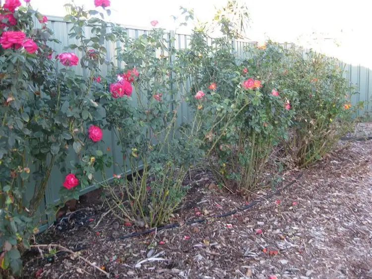 Fifth view of Homely land listing, Lot 21 Rowley Road, Aldinga Beach SA 5173