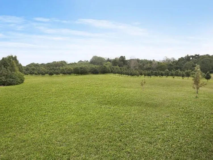 Sixth view of Homely house listing, 567 Humpty Back Road, Pearces Creek NSW 2477
