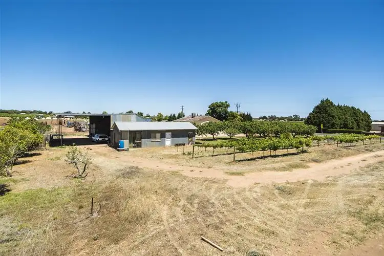 Fourth view of Homely house listing, 1226 Karadoc Avenue, Irymple VIC 3498