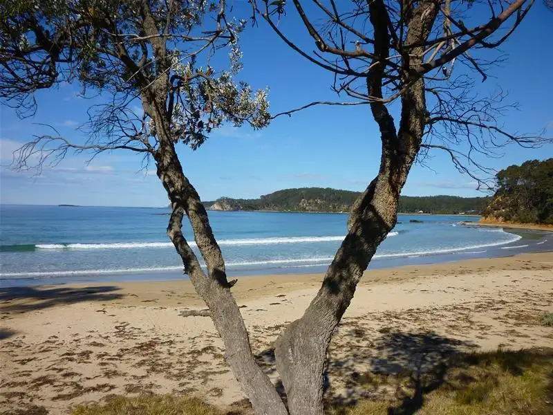 Main view of Homely unit listing, 9/5 Edgewood Place, Denhams Beach NSW 2536