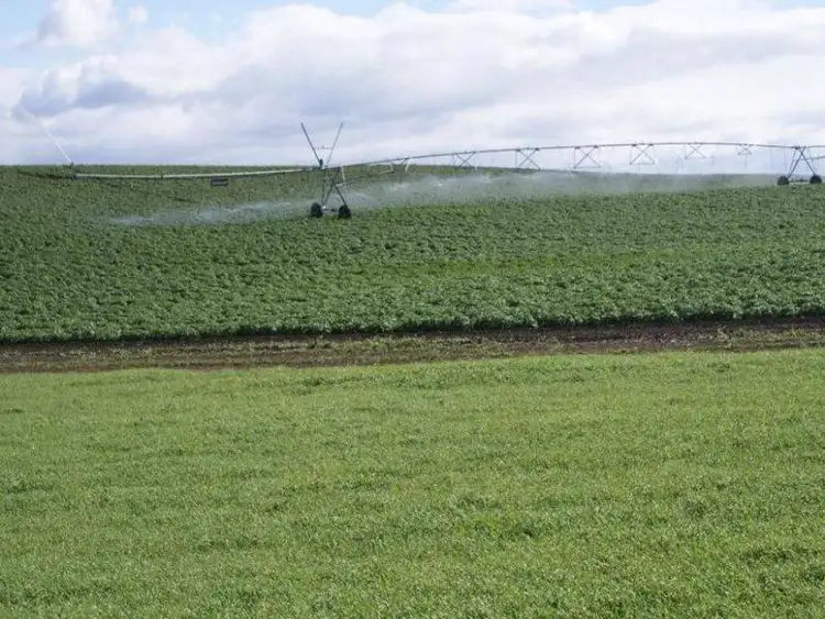 Second view of Homely house listing, 167 Mole Creek Road, Deloraine TAS 7304