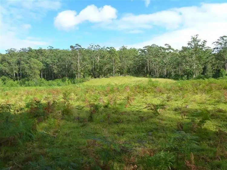 Third view of Homely land listing, LOT 54/3032 The River Road, Currowan NSW 2536