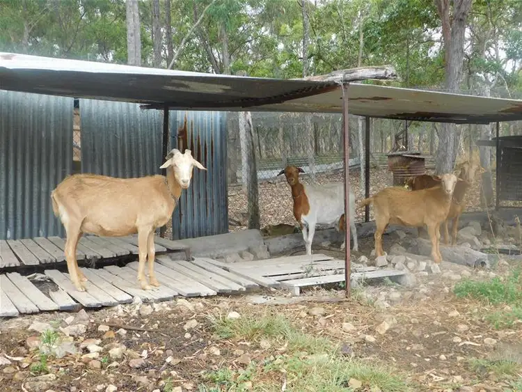 Fifth view of Homely rural property listing, 30 Howland Road, Ilbilbie QLD 4738