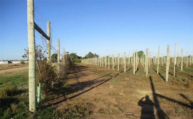 Sixth view of Homely land listing, 4 Ellis Road, Two Wells SA 5501