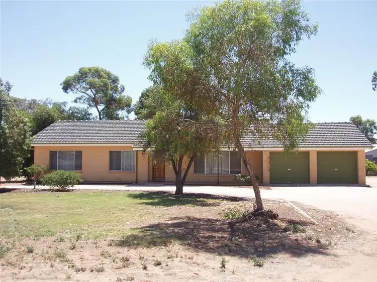 Main view of Homely house listing, 23 Reisling Road, Nildottie SA 5238