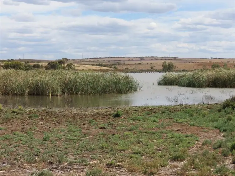 Fifth view of Homely land listing, Lot 51 'Reedy Creek Rise' Gerogles Road, Caloote SA 5254