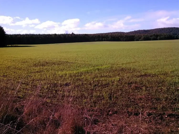Second view of Homely rural property listing, 198 Youngman's Road, Railton TAS 7305