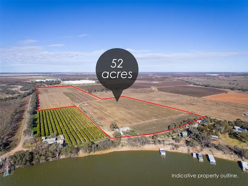 Main view of Homely rural property listing, 62 Cootamundra Avenue, Red Cliffs VIC 3496