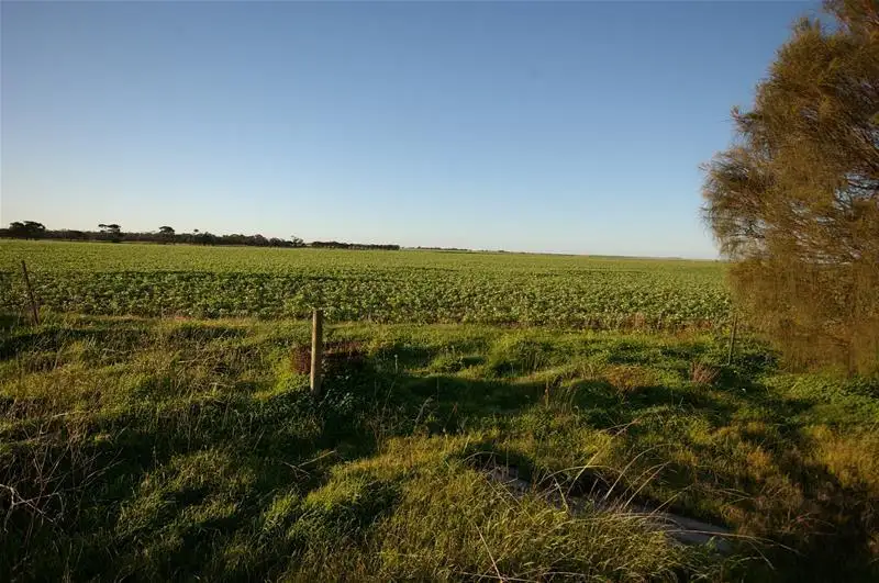 Main view of Homely rural property listing, 607 Sunbury Oval Road, Yorketown SA 5576