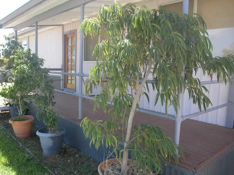 Third view of Homely house listing, 17 WHITFIELD Road, Jurien Bay WA 6516