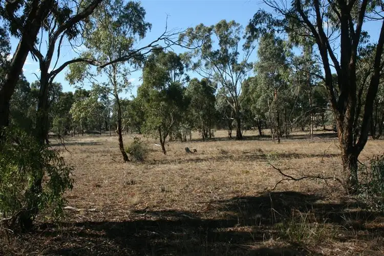 Fourth view of Homely rural property listing, 95 Martins Lane, Illawarra VIC 3381