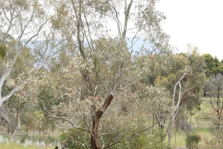 Fifth view of Homely rural property listing, 54J Moyston Dunkeld Road, Moyston VIC 3377