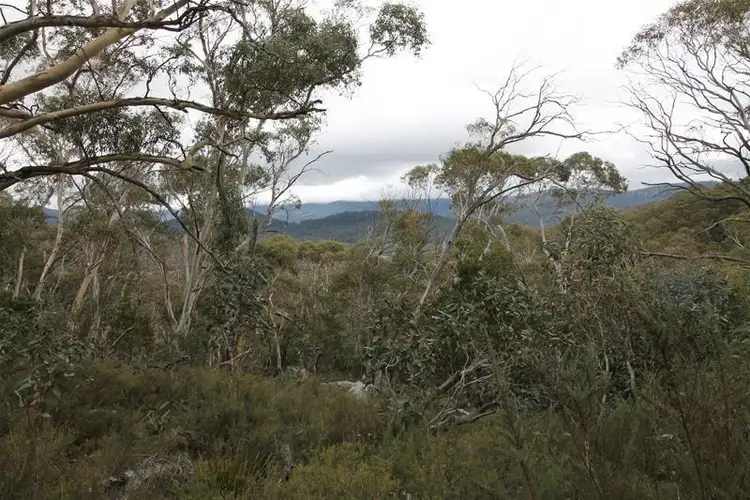 Seventh view of Homely rural property listing, 334 Wollondibby Road, Jindabyne NSW 2627