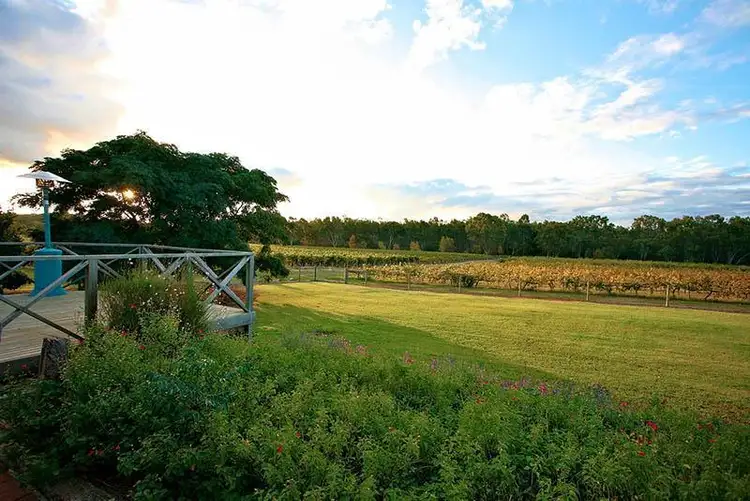 Fifth view of Homely rural property listing, 299 Kangarilla Road, Mclaren Flat SA 5171