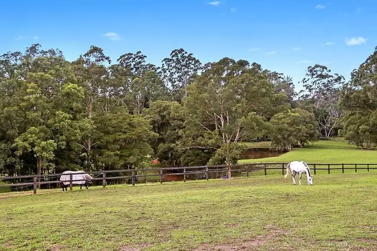 Fifth view of Homely rural property listing, 158 Phil Tunks Road, Dooralong NSW 2259