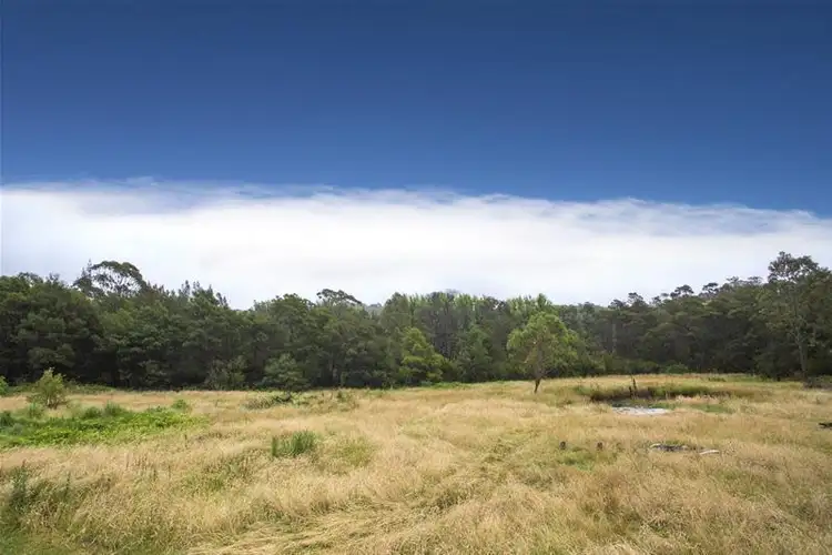 Second view of Homely rural property listing, 12 Maulbrooks Road, Mogo NSW 2536