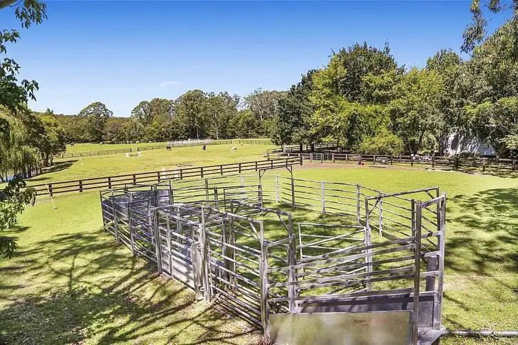 Second view of Homely rural property listing, 1559 Mandalong Road, Dooralong NSW 2259