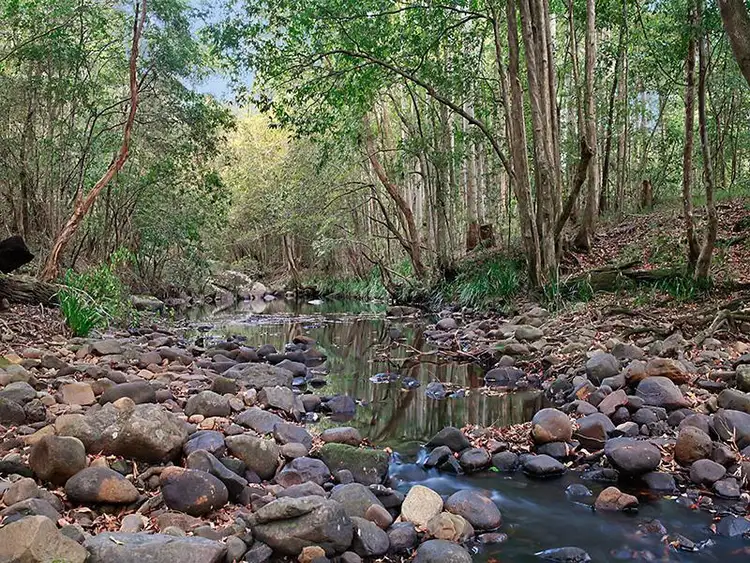 Fifth view of Homely rural property listing, 113 Saggers Creek Road, Stroud NSW 2425