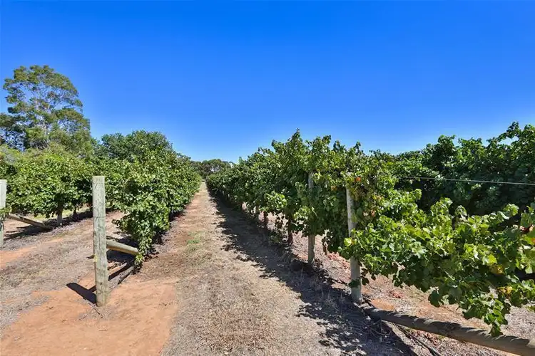 Third view of Homely rural property listing, 3561 Deakin Avenue, Mildura VIC 3500