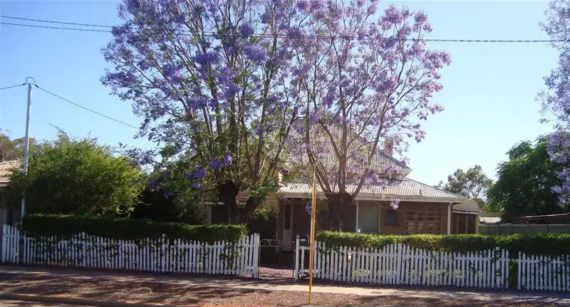 Main view of Homely house listing, 4 Graeme Street, Lamington WA 6430