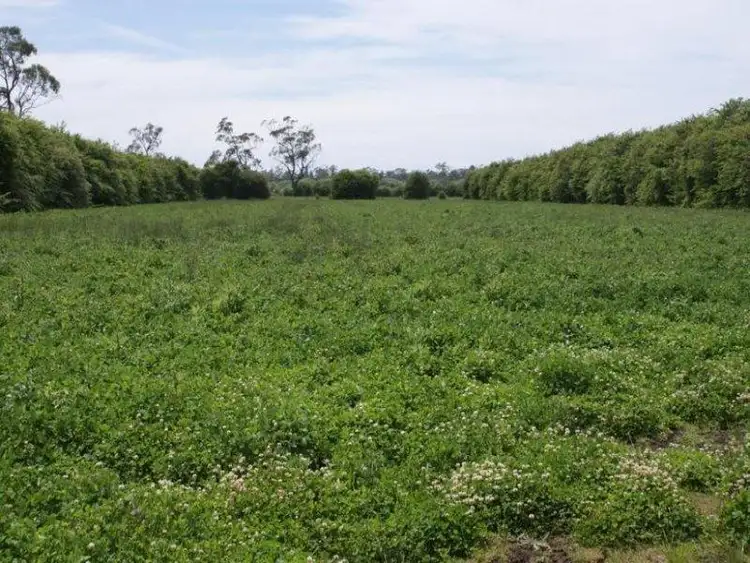 Fifth view of Homely house listing, 167 Mole Creek Road, Deloraine TAS 7304