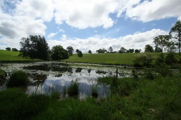 Seventh view of Homely rural property listing, 852 Stewarts River Road, Lorne NSW 2439