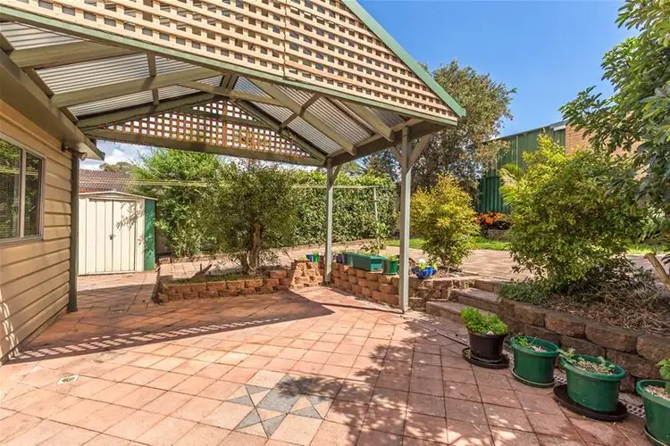 Seventh view of Homely house listing, 19 Warrimoo Drive, Quakers Hill NSW 2763