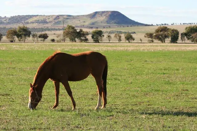 Fifth view of Homely land listing, 259 Sadler Way, Deepdale WA 6532