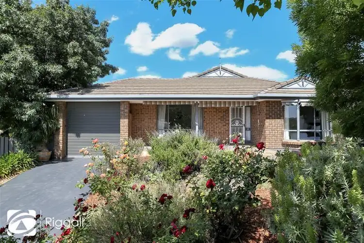 12 Bloomfield Avenue, Greenwith SA 5125