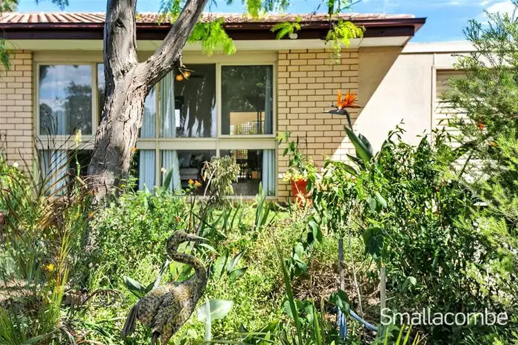 19 Fitzgerald Road, Pasadena SA 5042