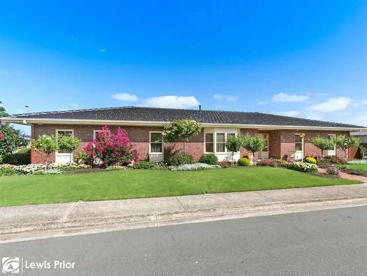 43 Spruce Avenue, Warradale SA 5046