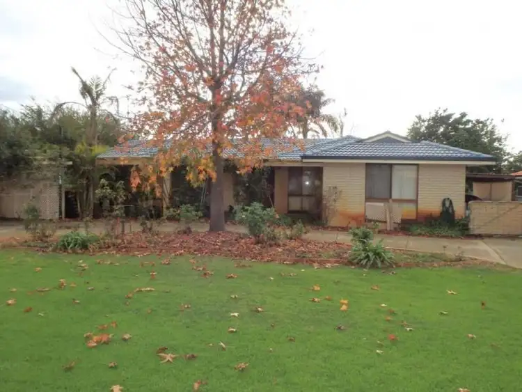 3 Cowen Street, Pinjarra WA 6208