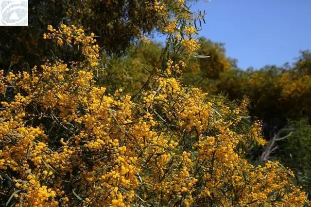 Sixth view of Homely land listing, LOT 488/488 Moloney Street, Utakarra WA 6530